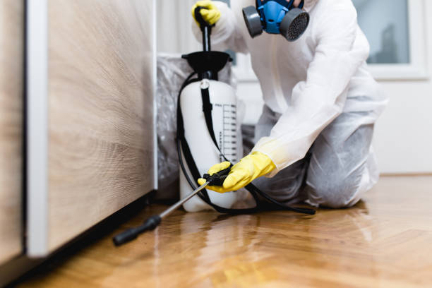 Best Wasp Removal Services  in Marquette Heights, IL
