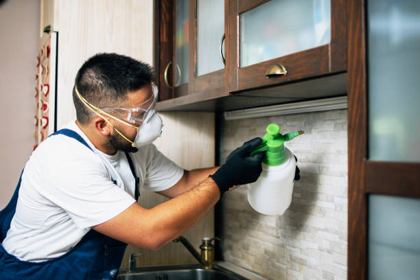 Professional Pest Control in Marquette Heights, IL