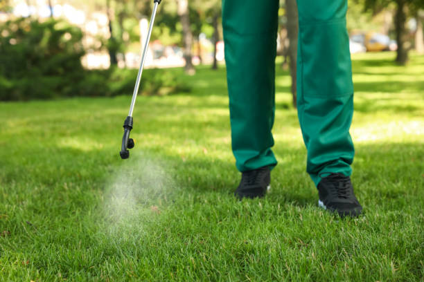 Best Flea Control Services  in Marquette Heights, IL