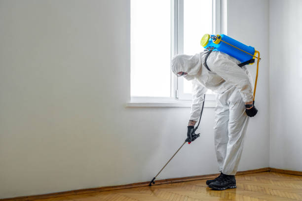 Best Pest Control Near Me in Marquette Heights, IL