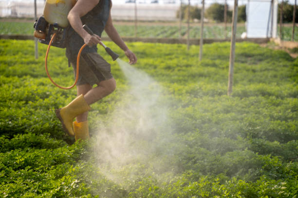 Best Pest Control Near Me  in Marquette Heights, IL