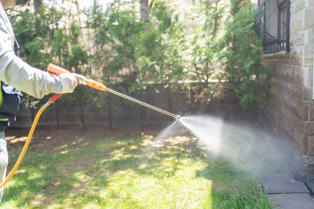 Best Affordable Pest Control Services  in Marquette Heights, IL