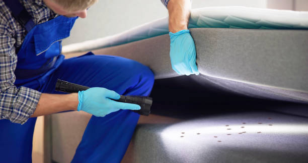 Best Mosquito Control Services  in Marquette Heights, IL