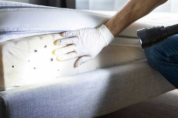Best Commercial Pest Control Services  in Marquette Heights, IL
