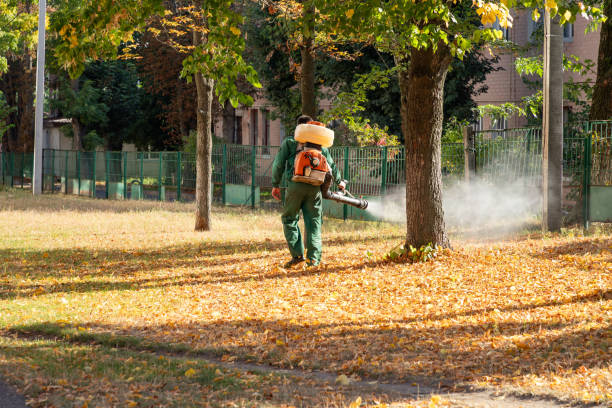 Best Emergency Pest Control  in Marquette Heights, IL