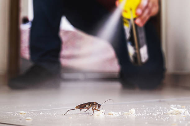 Best Bed Bug Extermination  in Marquette Heights, IL