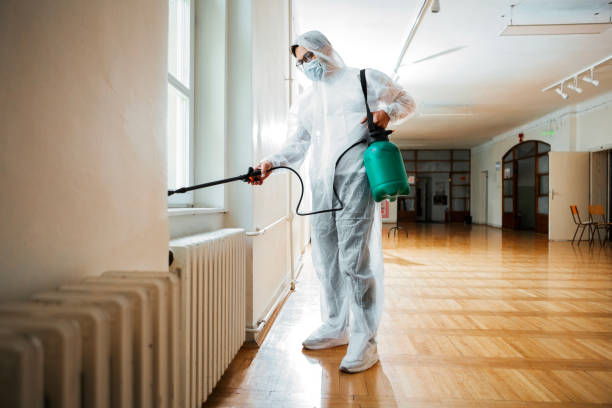 Best Affordable Pest Control Services  in Marquette Heights, IL